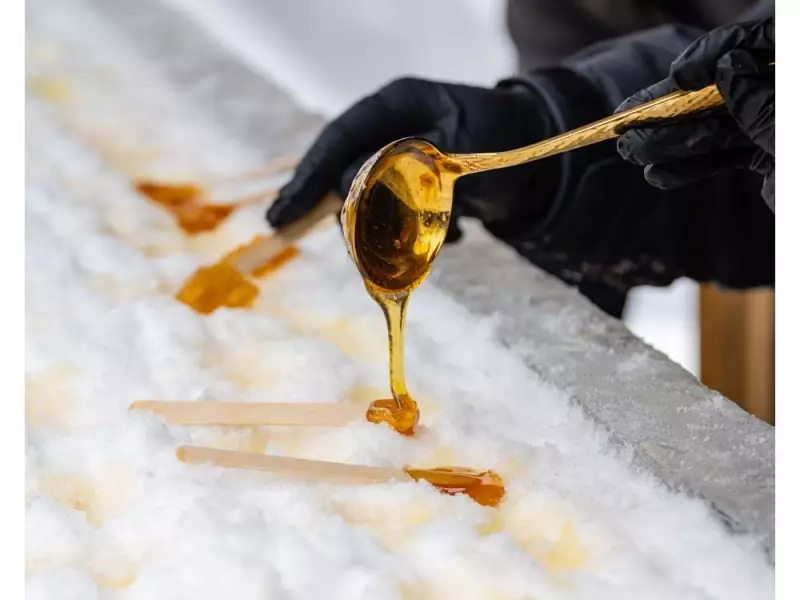 Sugar Shack TO Returns to Toronto's Waterfront in 2026 at Harbourfront Centre