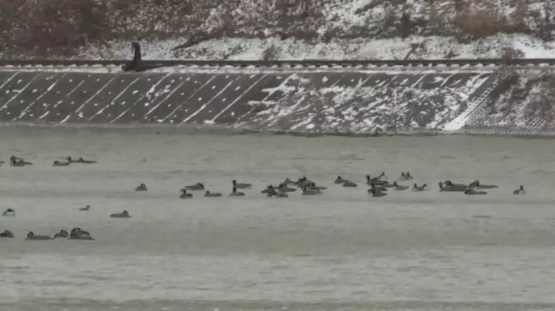 Sunday Flurries Forecast, Warmer Week Ahead for London, Ontario