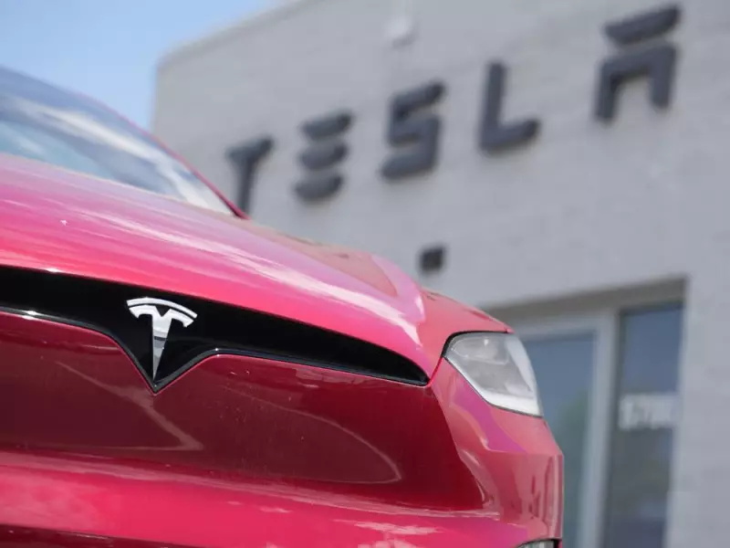 Tesla's European Sales Slump Deepens: Key Markets See Sharp Declines