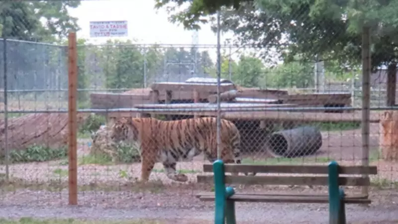 The Hidden Cost of Roadside Zoos: Animal Cruelty Charges Dropped in Quebec