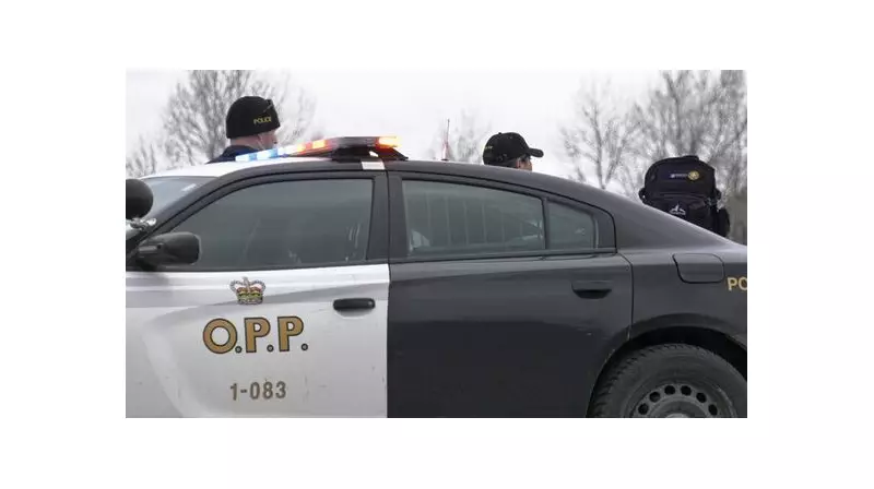 Tiny Township Man Flees Scene After Alleged Vehicle Crash, OPP Investigate