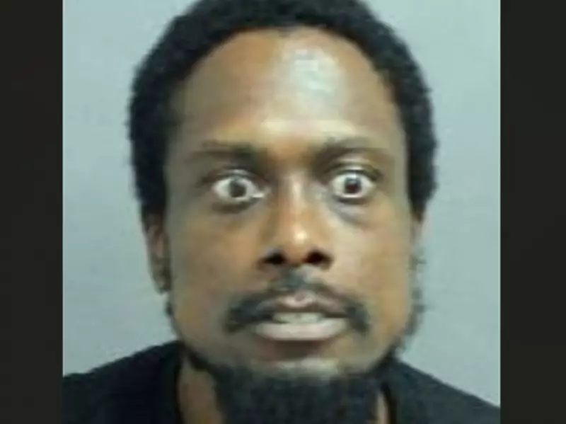 Toronto's 'Frequent Flyers': Repeat Offenders Cummings and Kelly Face New Charges