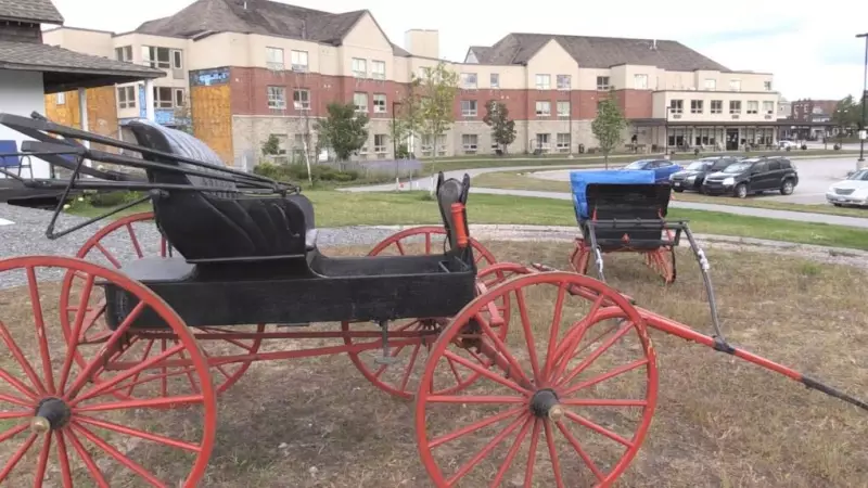 Two 'Priceless' Dionne Quintuplets Artifacts Recovered by Ontario Museum