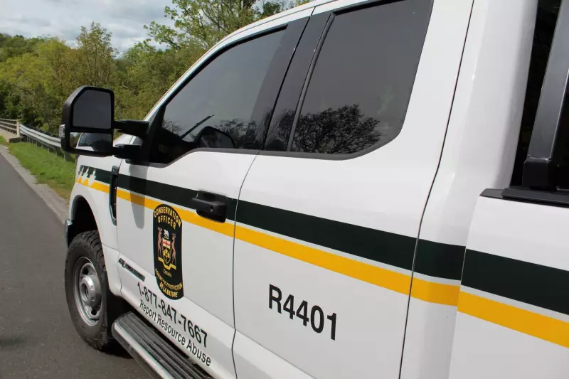 Two Windsor Men Fined for Hunting Violations in Ontario