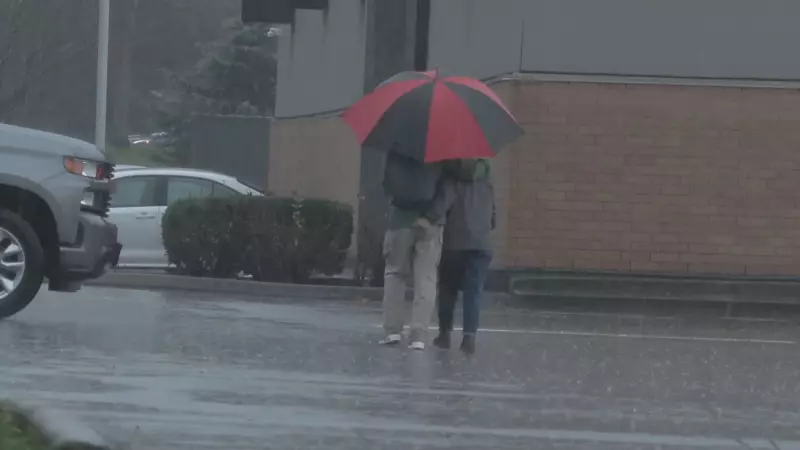 Vancouver Island Braces for 100 km/h Winds and Heavy Rain in Storm Series