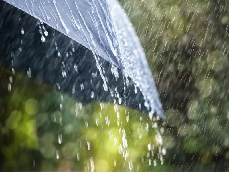 Vancouver's Rain: Embracing the Wet Weather or Dreaming of Arizona?