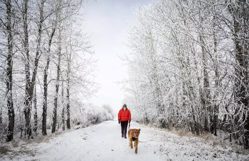 Western and Northern Canada Faces Chilly, Snowy Christmas Holiday