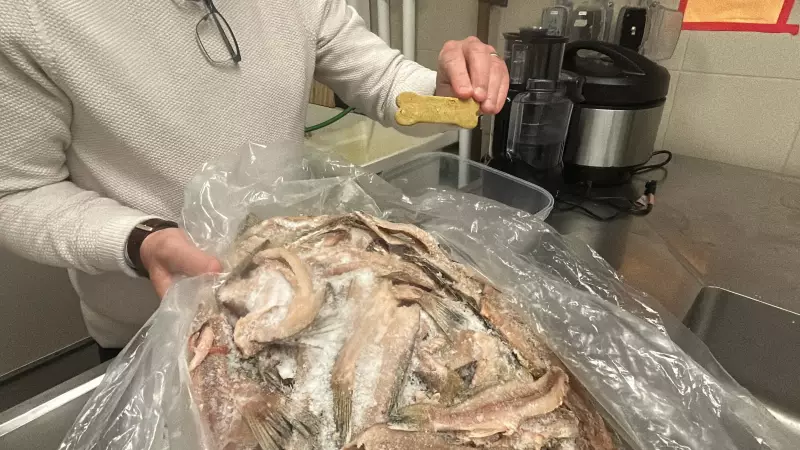 Windsor Company Transforms Fish Waste into Dog Treats in Zero-Waste Initiative