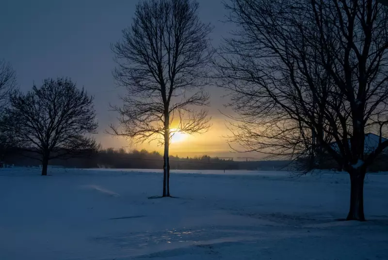 Windsor-Essex Braces for Cold but Calm New Year's Eve and Day