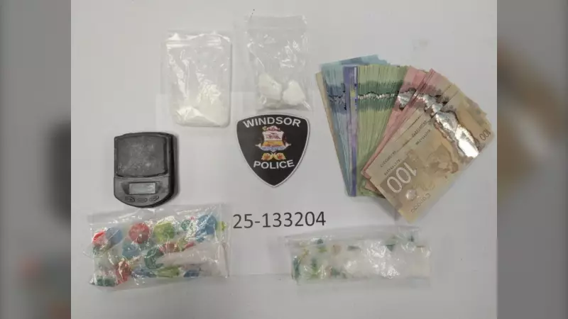 Windsor Police Seize $8,000 and Drugs in Major Bust