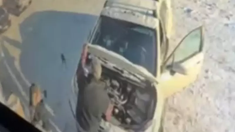 Winnipeg Woman's Car Hood Surprise: Bunny Rescue on Dec. 10, 2025