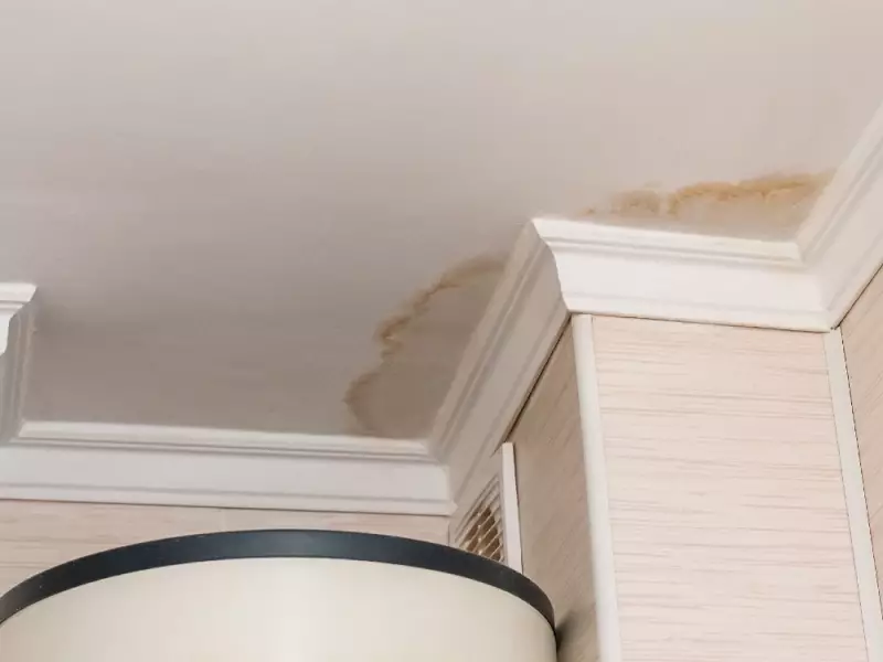 Winter Moisture Mysteries: How Air Leaks Cause Ceiling Leaks in Canadian Homes