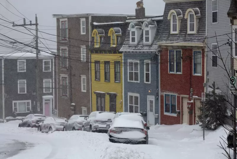 Winter Storm Warnings Blanket Newfoundland and Labrador with Heavy Snow and Winds