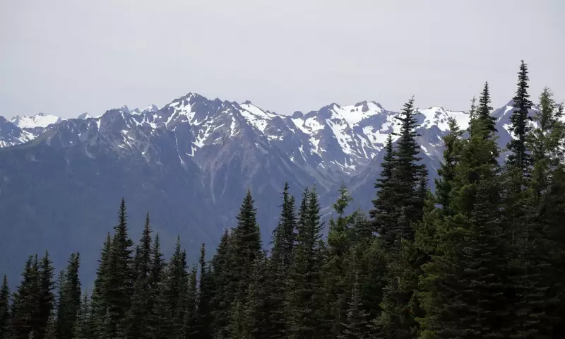 Woman Sentenced to 13 Years for Cold-Case Murder of B.C. Artist