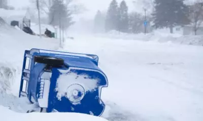 Barrie Issues High Wind Warning: Secure Waste Carts to Prevent Road Hazards