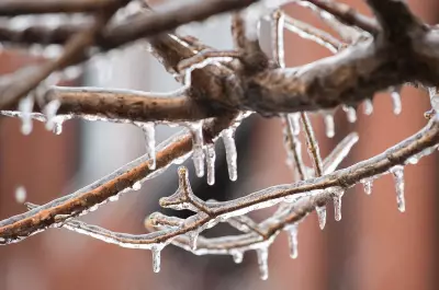 Freezing Rain Warnings Grip Maritimes Monday Morning, Icy Hazard