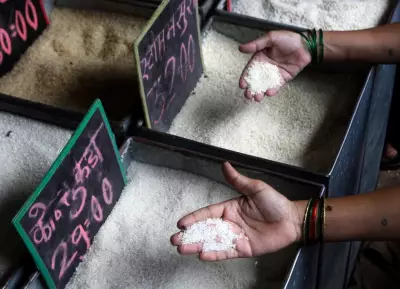 India's Rice Export Dominance Fuels Looming Water Crisis, Report Warns