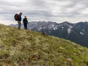 450+ Sq Km of B.C. Forest Land Protected in Major Conservation Deal