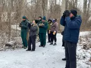 73rd Annual Christmas Bird Count Takes Flight at Point Pelee National Park
