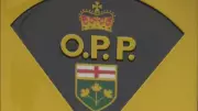 79-Year-Old Man Dies in Single-Vehicle Crash Near Exeter, Ontario