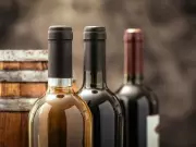 Anthony Gismondi's 2025 Holiday Wine Guide: Perfect Picks for Every Person