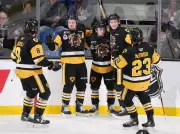 Brantford Bulldogs Secure New Arena, Pledge to Stay 'Forever' After Council Approval