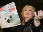 Brigitte Bardot's Canadian Legacy: From Seal Hunt Protests to Deer Cull Condemnation