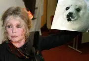 Brigitte Bardot's Legacy in Canada: A Lifelong Fight Against the Seal Hunt