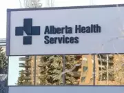 Calgary Food Outlets Shut Down After Processing Over 100 Pigs Without Permit