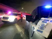 Calgary Police Applaud Drivers: Only One Sanction at Five Holiday Check Stops