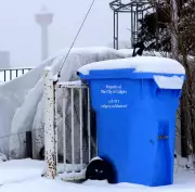 Calgary Warns 180,000+ Homes of Holiday Waste Pickup Disruptions