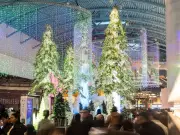 Calgary's Weekend in Focus: Boxing Day Crowds, Deep Freeze, and Hockey Action