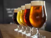 Canadian Beer Palate Shifts: Lighter, Fruity & Experimental Beers Rise
