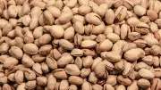 CFIA Expands Pistachio Recall to Nearly 300 Products Over Salmonella Fears