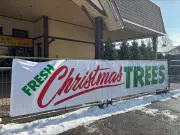 Christmas Costs in 2025: How Much Will Holiday Celebrations Set You Back?