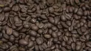 Coffee Prices in Canada Hit New Highs in December 2025