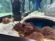 Dalhousie Opens Canada's Largest Marine Research Hub at Beaty Centre