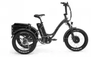 Electric Tricycle Stolen from Special Needs Child in Maple Ridge, RCMP Seek Public Help