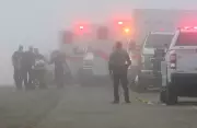 Emergency Crews Respond to Small Plane Crash Near Galveston, Texas