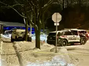 Fatal Shooting in Kitchener Under Investigation, Suspect Remains at Large