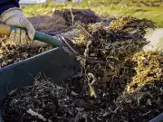 How to Find Reliable Garden Help in Canada: Expert Tips for 2025