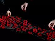 How Your Poppy Donations Fund $1.27M in Veteran Support at University of Alberta