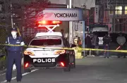 Knife and Chemical Attack at Japanese Factory Injures at Least 15