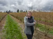 Langley's Driediger Farms Sells for $23.3M to Local Berry Growers