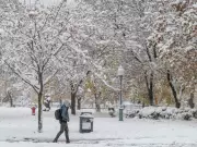 Montreal Weather: Sunny Start, Light Snow Expected Sunday Afternoon