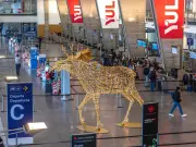 Montreal's White Christmas: NORAD Tracks Santa as Snow Arrives