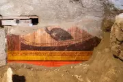 New Pompeii Frescoes Reveal Stunning Peahen Artwork with 'Extraordinary Details'