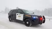 OPP Officer Airlifted After Collision with Cattle Trailer in Beeton