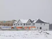 Ottawa Citizens Voice Concerns: Housing Crisis, City Management, and Military Misconduct