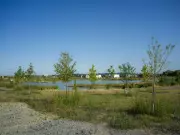 Ottawa Mayor Falls 900,000 Trees Short of 1 Million Tree Pledge